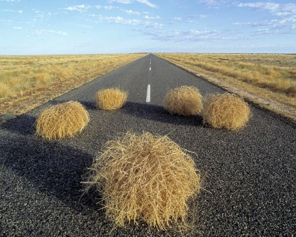 Real Hay